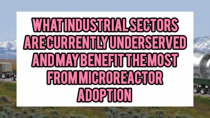 What Industrial Sectors (e.g. fine chemicals, pharmaceuticals, specialty polymers, biomass conversion) Are Currently Underserved And May Benefit The Most From Microreactor Adoption