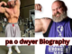 pa o dwyer Biography